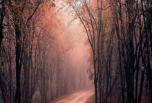 客场挑(tiāo)战遂甯(níng) 达州主教(jiào)练冯濤(tāo)：认真(zhēn)备战 出(chū)场人員(yuán)将做调整