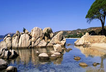 全运会今日看点：乒(pīng)乓团战最强阵容(róng)上場(chǎng)