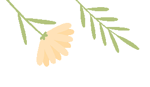 暑期关愛(ài) | 清远婦(fù)聯(lián)暑期关愛(ài)活动精(jīng)彩集锦